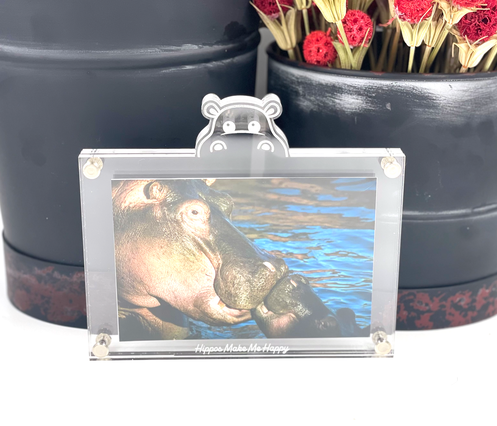 Hippos Make Me Happy Picture Frame | Personalized Hippo Picture Frame | Fiona Picture Frame | Floating Picture Frame